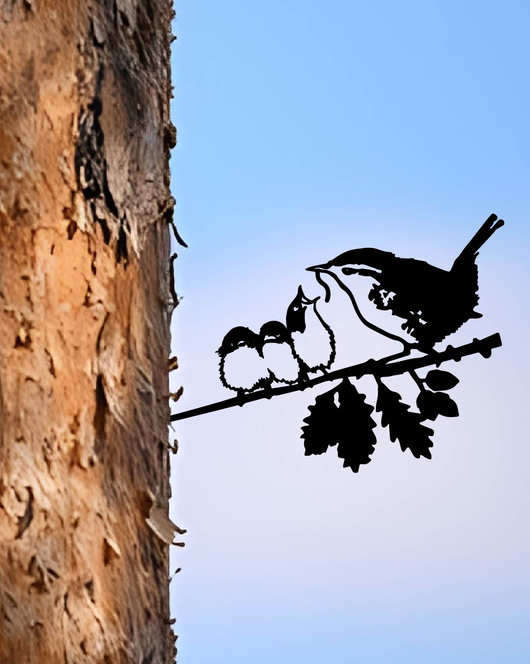 Wren And Chicks Bird Knock In Metal Art Silhouette