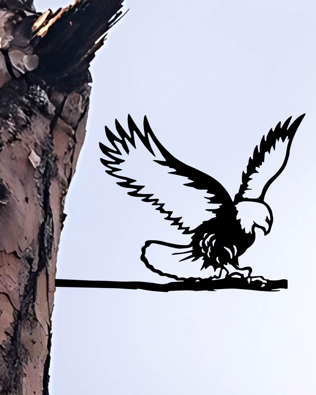 EAGLE Bird knock in metal art silhouette