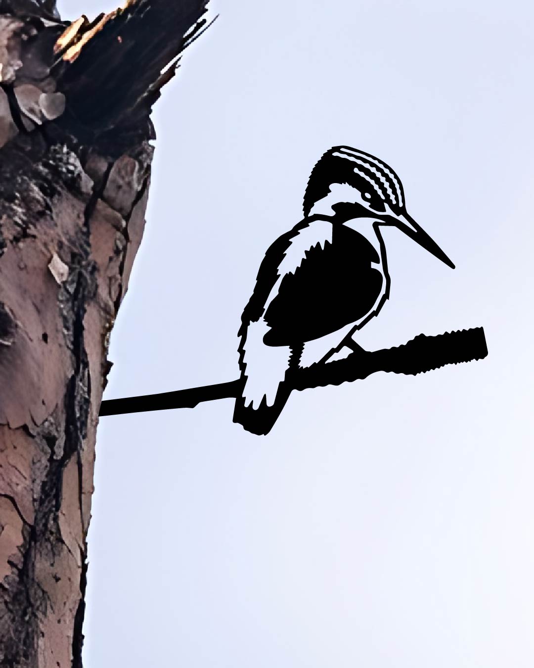 KINGFISHER Bird knock in metal art silhouette