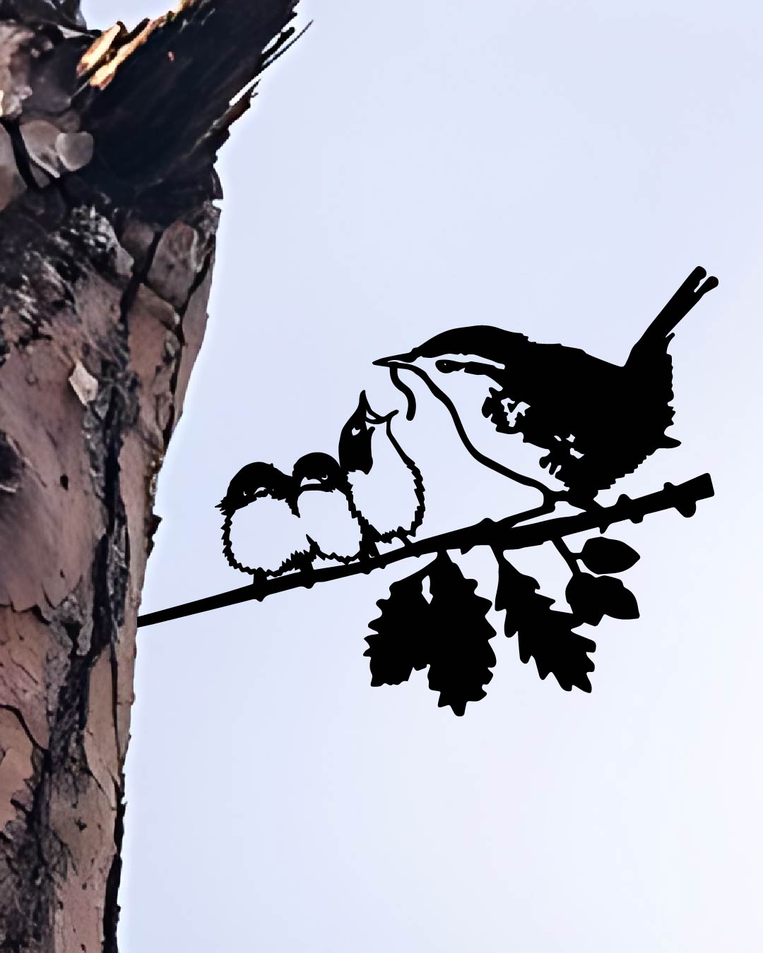 Wren And Chicks Bird Knock In Metal Art Silhouette