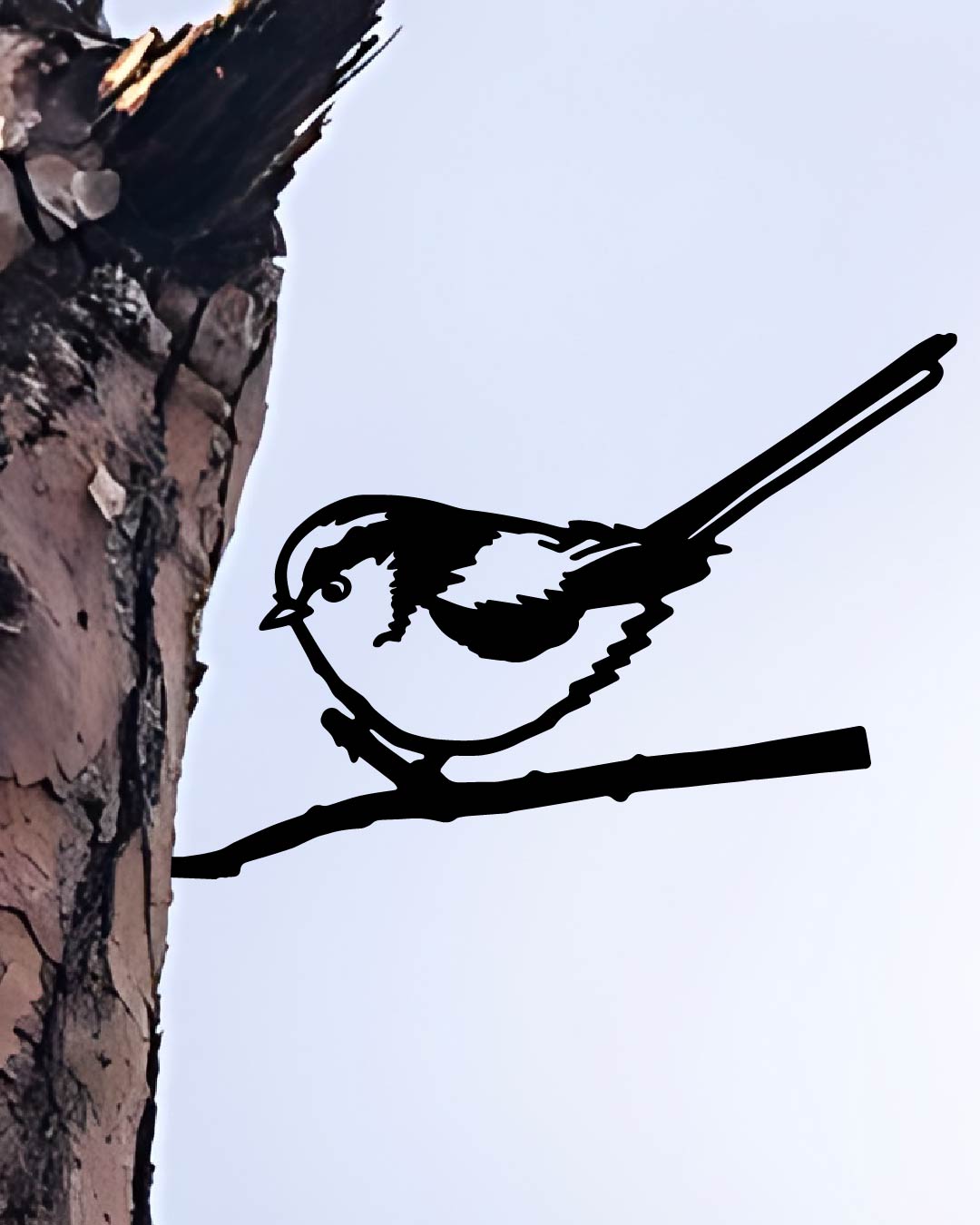 Long-tailed Tit Bird Knock In Metal Art Silhouette